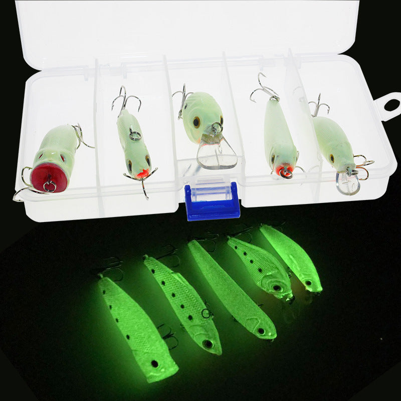 Glow Night Fishing Lure Kit – 5 Pack with Free Case