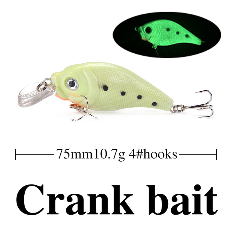 Glow Night Fishing Lure Kit – 5 Pack with Free Case